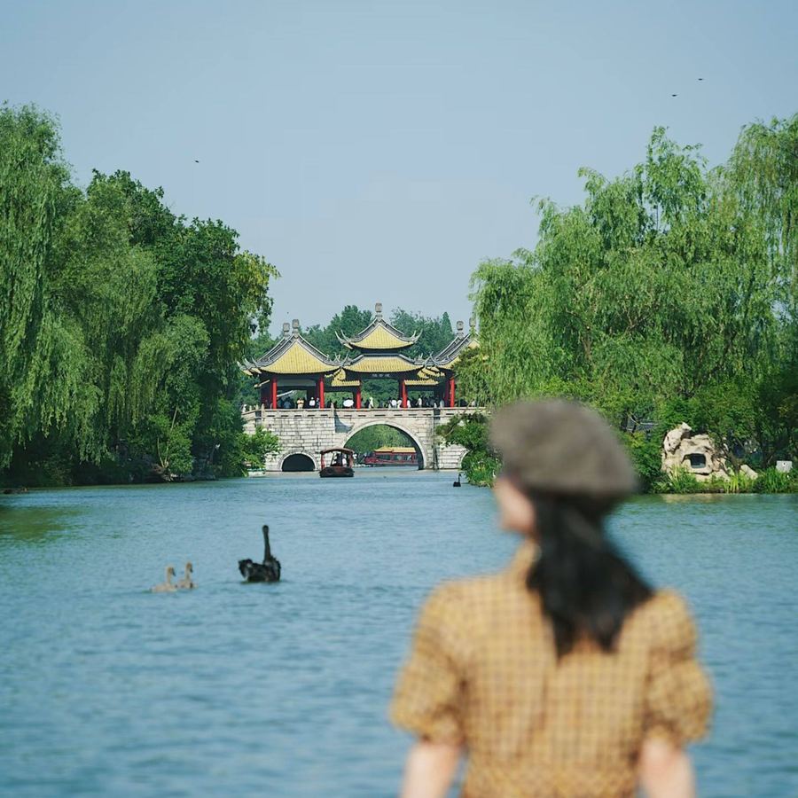 扬州 · 早茶与运河 封面